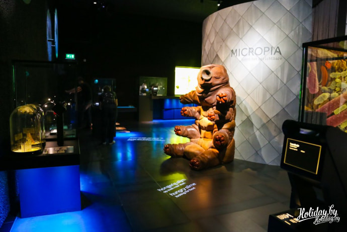 Зоопарк Micropia в Амстердаме