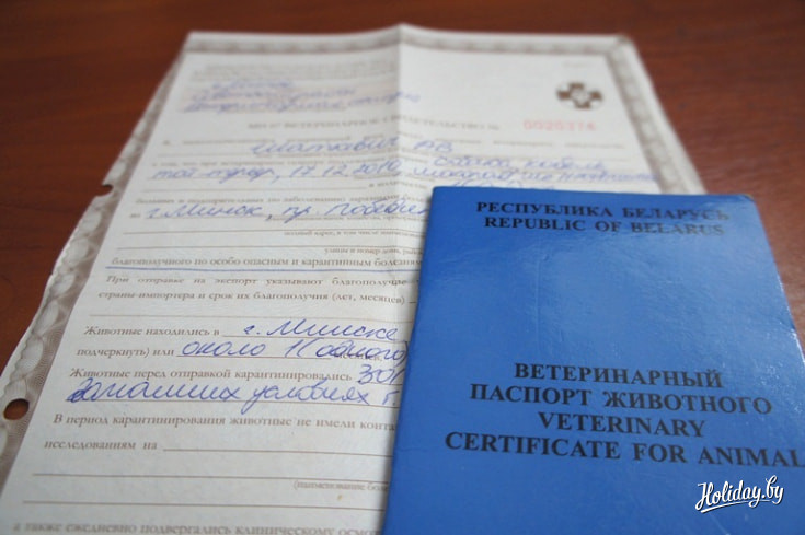 образец паспорта собаки поводыря