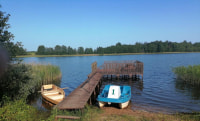 Жаворонок