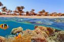 Тур Горящий тур в Египет. Sharm Inn Amarein 4* -  Фото 1