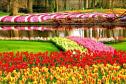 Тур Цветочный Бенилюкс + Кёкенхоф. Авторский тур -  Фото 2