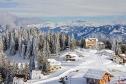 Тур Горнолыжный тур в Швейцарские альпы -  Фото 3
