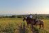 Конные прогулки по окрестностям озера Нарочь «Лунная долина» - Фото 10