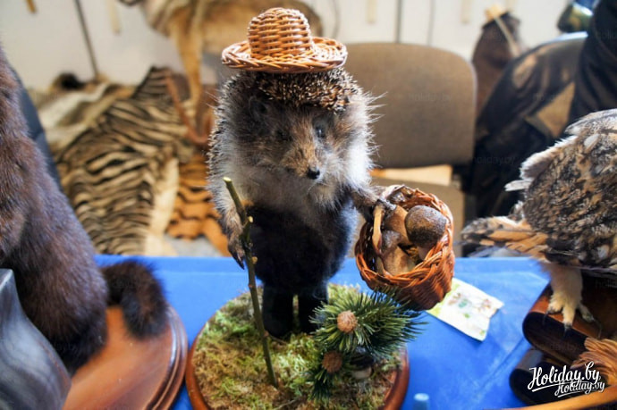 Выставка-ярмарка "Охота и рыболовство 2013. Весна"