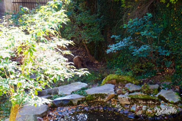 Замок в Чешском Крумлове