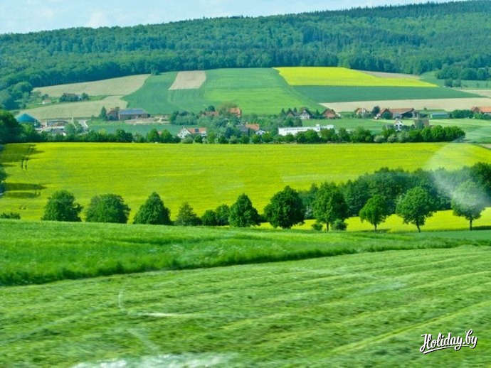 Поле в Голландии