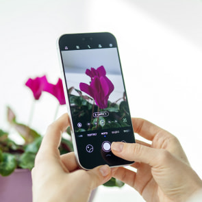Обзор смартфона Huawei nova 15 Pro: яркий экран и продвинутая портретная съемка