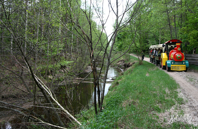 Сафари-тур в "Припятском". Движение вдоль плотин бобров