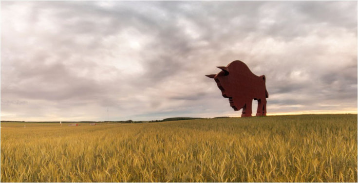 Зубр по трассе М-1 в Беларуси. Источник фото - last-m.livejournal.com 