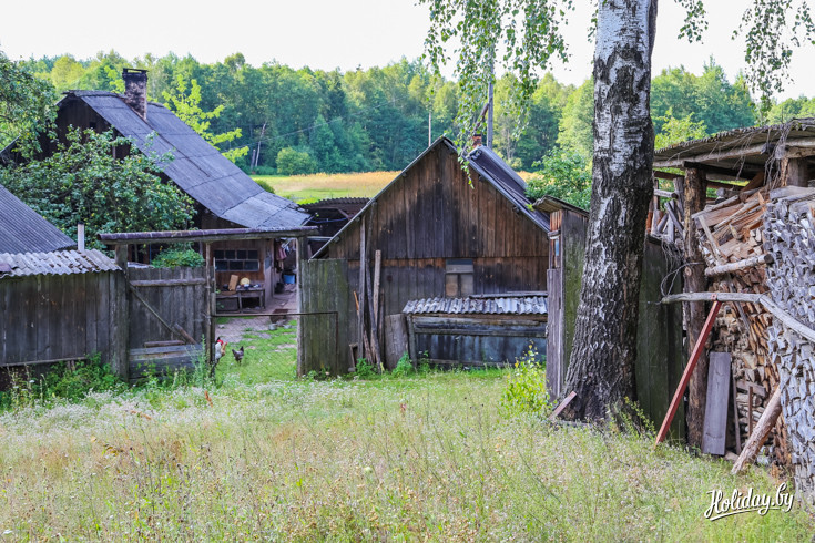 Традиционное сельское поселение на Лепельщине. Здесь ведут хозяйство по канонам полуторавековой давности