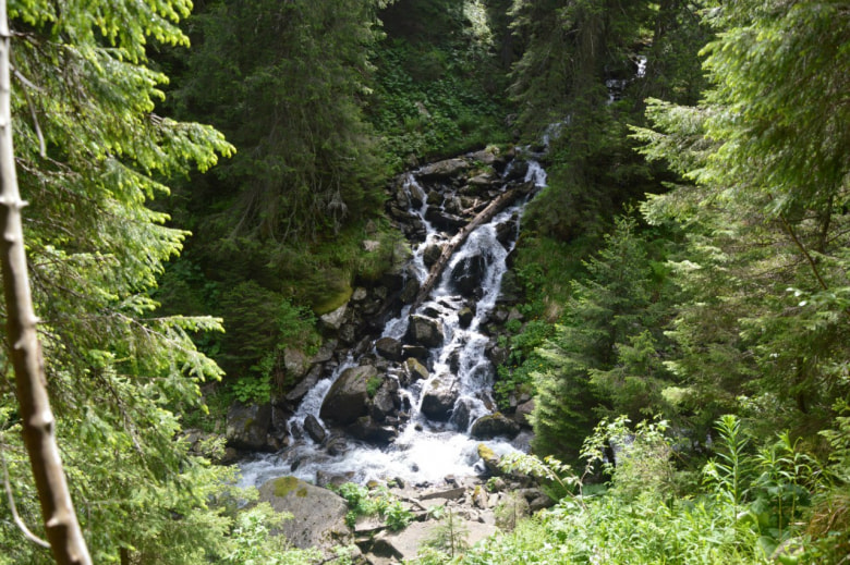 Фото: Ski Bus Team