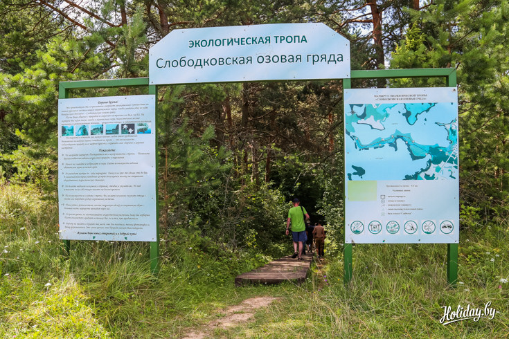 Недалеко от костела и базы отдыха Браславского национального парка есть вход на экотропу «Озовая гряда»
