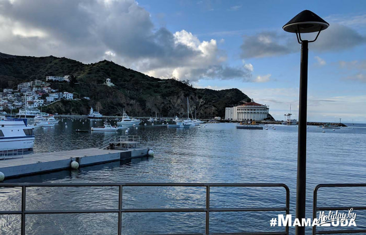 Конкурс спортивных бальных танцев в Витебске. Фото с news.vitebsk.cc