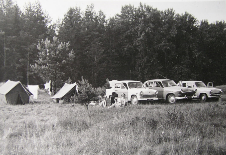 Палатки и автомобили на опушке леса. Источник: drive2.ru