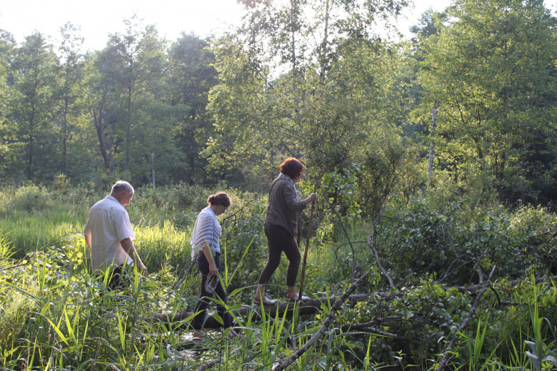 Тропа в Налибокской пуще 