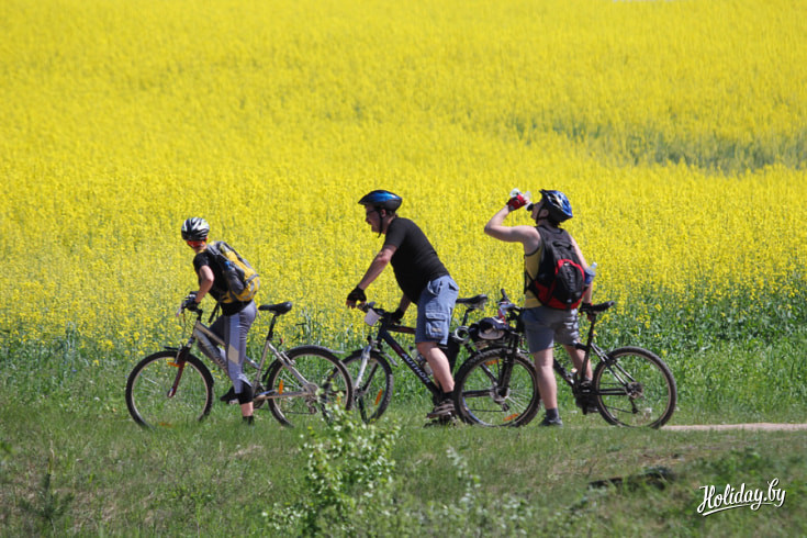 Проходит марафон через красивейшие уголки Налибокской пущи