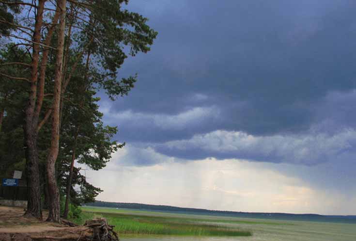 Нарочанский край