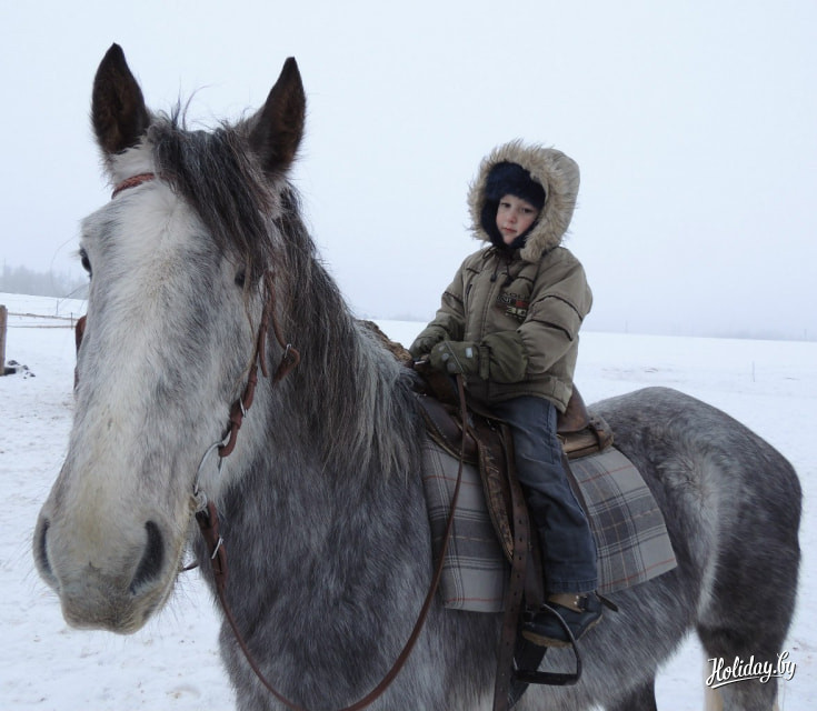 Освоить азы верховой езды могут даже самые маленькие посетители