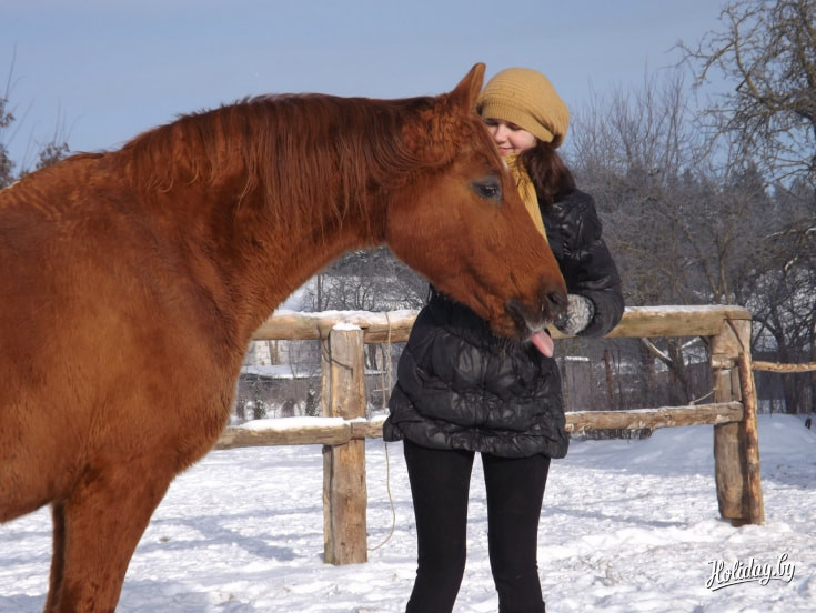 Конный клуб Prodius