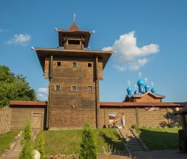 Город Мозырь