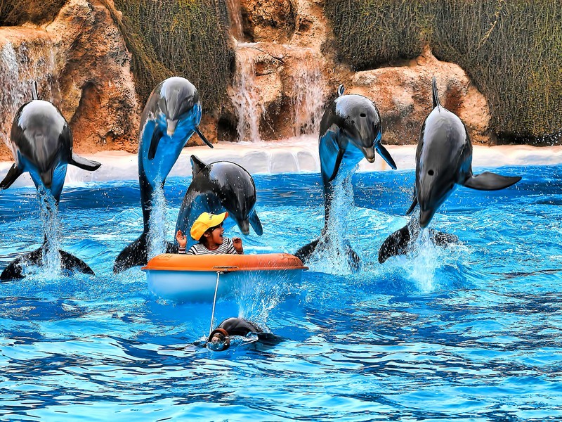 Отдых на Тенерифе