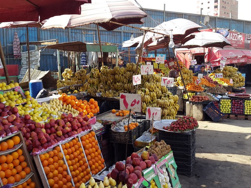 истории путешественника