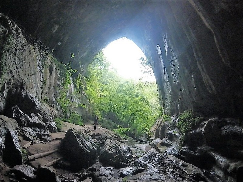 Тамара Лисицкая