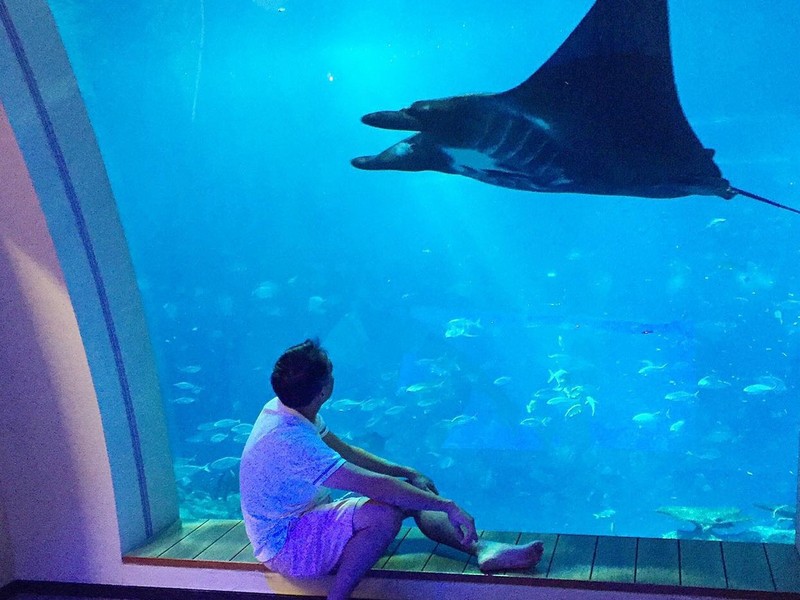 отели на воде