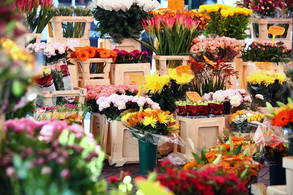 Новый цветочный рынок