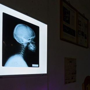 Выставка Интерактивный музей занимательных наук «Экспириментус»