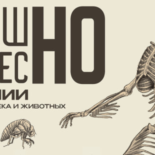 Выставка Интерактивный музей занимательных наук «Экспириментус»