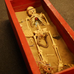 Выставка Интерактивный музей занимательных наук «Экспириментус»