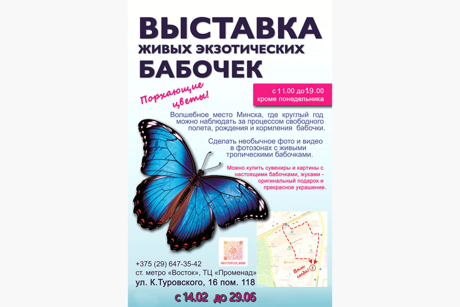 Выставка Порхающие цветы