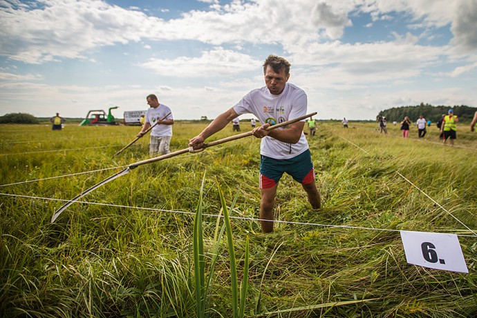 Фестиваль Экологический фестиваль "Споровские сенокосы"