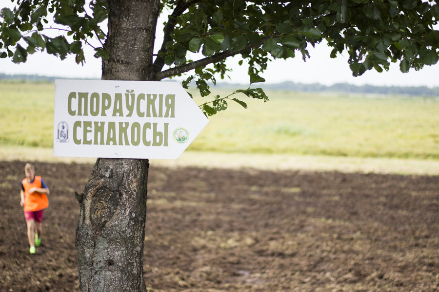 Фестиваль Экологический фестиваль "Споровские сенокосы"