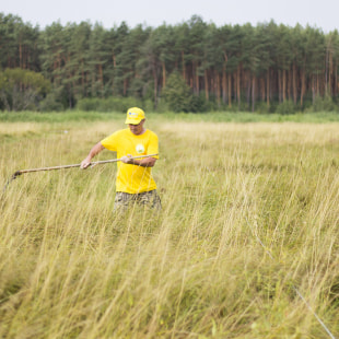 Фестиваль Экологический фестиваль "Споровские сенокосы"