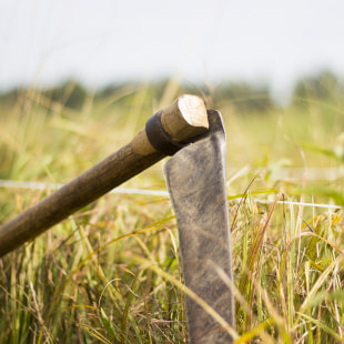 Фестиваль Экологический фестиваль "Споровские сенокосы"