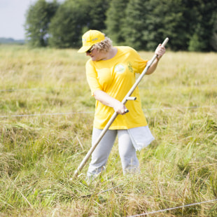 Фестиваль Экологический фестиваль "Споровские сенокосы"