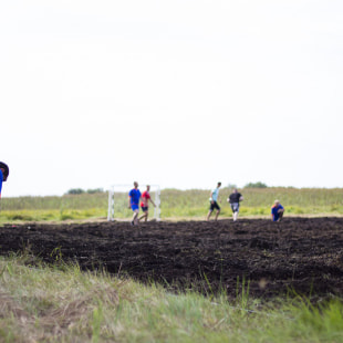 Фестиваль Экологический фестиваль "Споровские сенокосы"