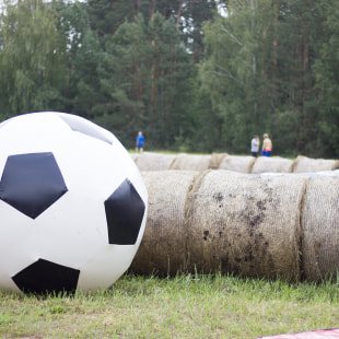 Фестиваль Экологический фестиваль "Споровские сенокосы"