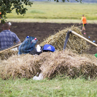 Фестиваль Экологический фестиваль "Споровские сенокосы"