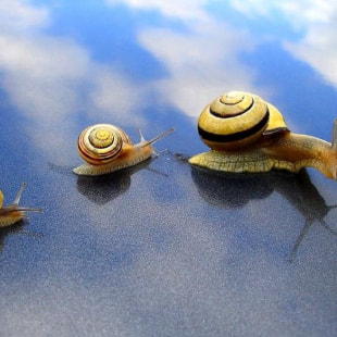 Праздник Гарбузы i cлiмакi Новага Поля