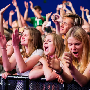 Фестиваль Рок за Бобров 2018