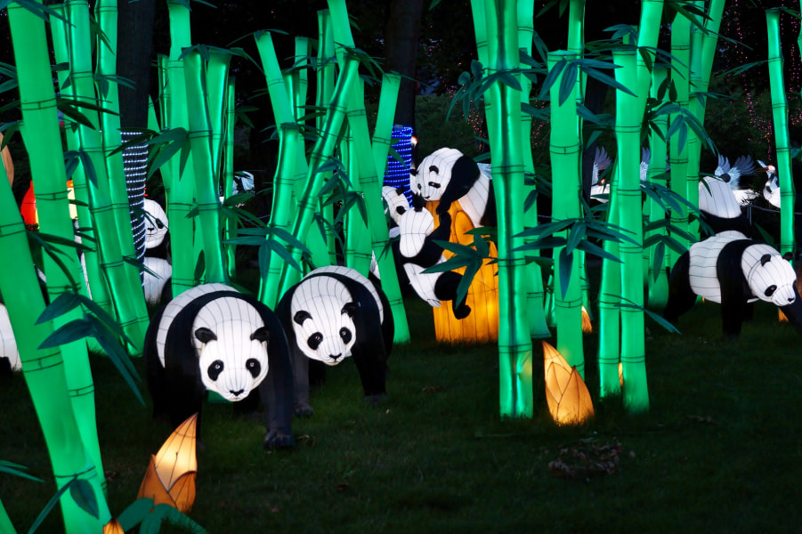 Фестиваль Фестиваль гигантских китайских фонарей