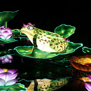 Фестиваль Фестиваль гигантских китайских фонарей