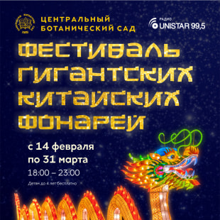 Фестиваль Фестиваль гигантских китайских фонарей