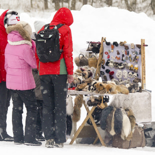 Фестиваль Международный фестиваль "Северные псы»