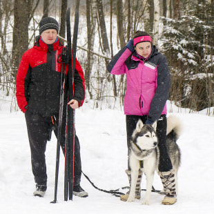 Фестиваль Международный фестиваль "Северные псы»