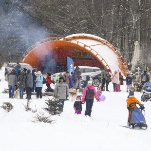 Фестиваль Международный фестиваль "Северные псы»