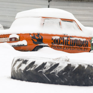 Фестиваль Международный фестиваль "Северные псы»